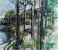 Paintwork forest