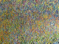 Field