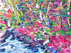 Magic forest